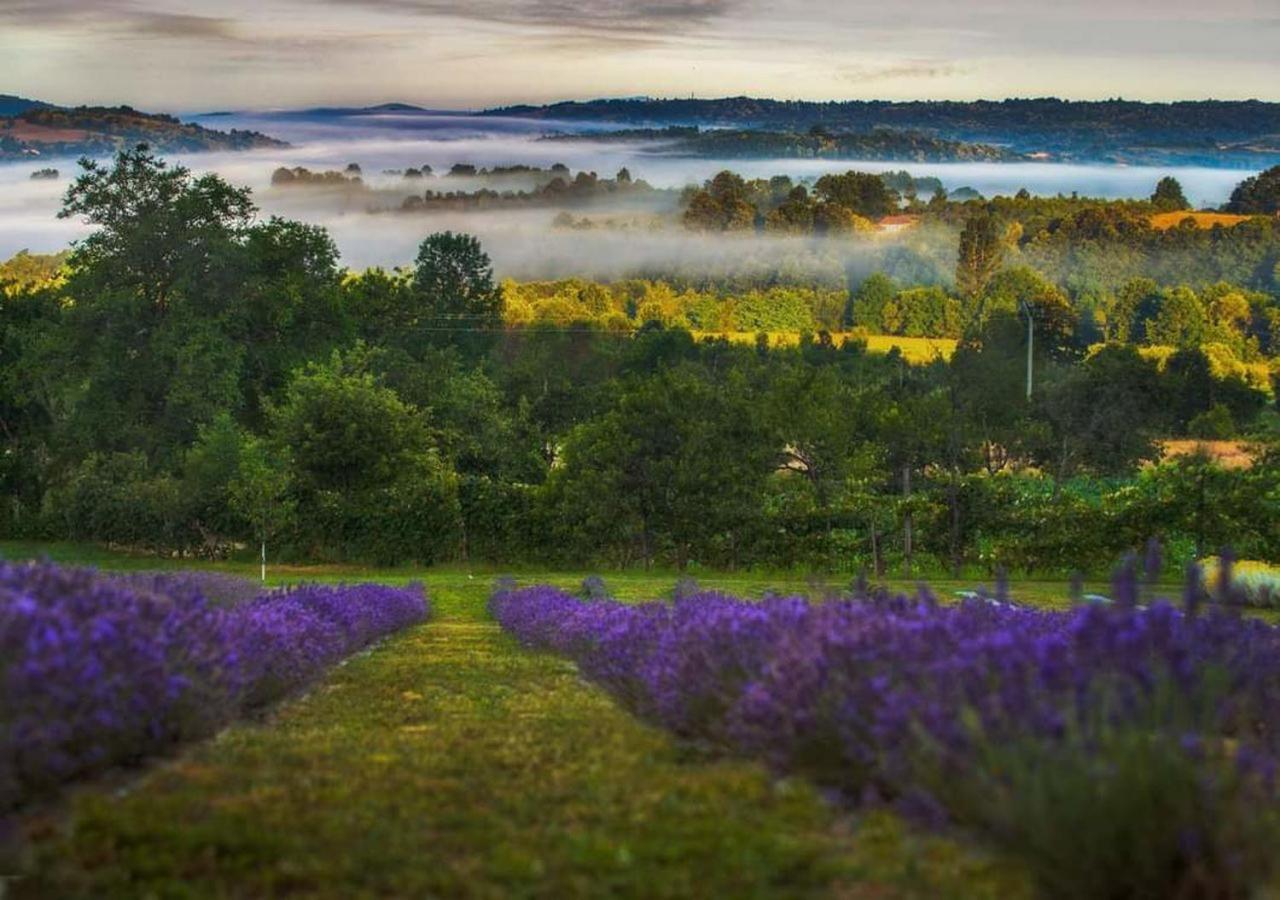 Lavanda Carasova Crasova 外观 照片